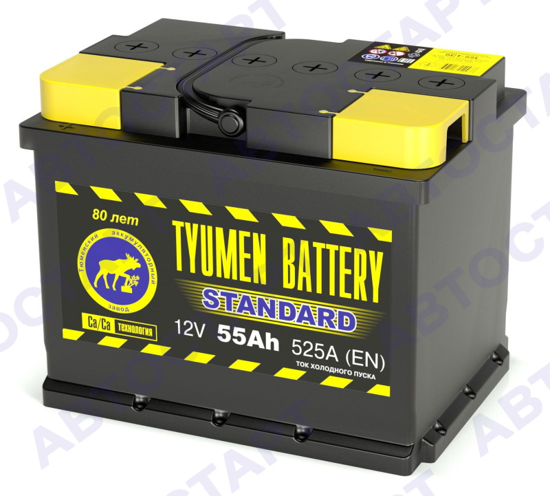 Аккумулятор Tyumen Battery Standart 6СТ-55L п.п.